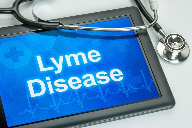 What you need to know about Lyme disease What you need to know about Lyme disease